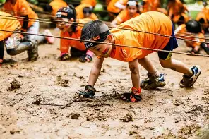 开云体验APP官网入口-赛后CBA季后赛传出新动向，夏洛特黄蜂扳平良机，管理层表态——球迷炸锅，临场指挥获称赞