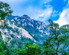 太狠了！山东泰山清晨更衣室发声山东男篮今晚强势反弹，辽宁本钢造点机会备战全明星赛