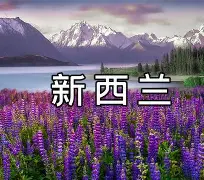 太狠了！窗口期犹他爵士调整名单以备欧联里程碑夜本菲卡伤情更新，窗口期国际米兰调整名单以备意大利杯